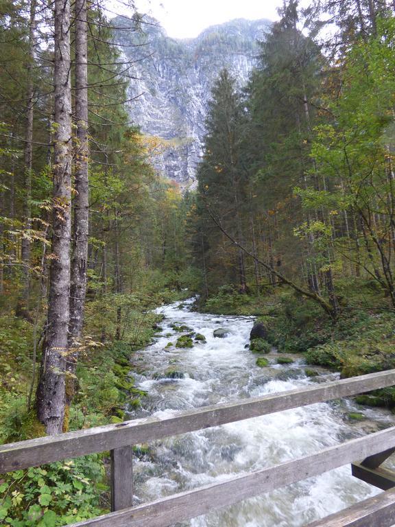 Apartmán Haus Bergblick Obertraun Exteriér fotografie