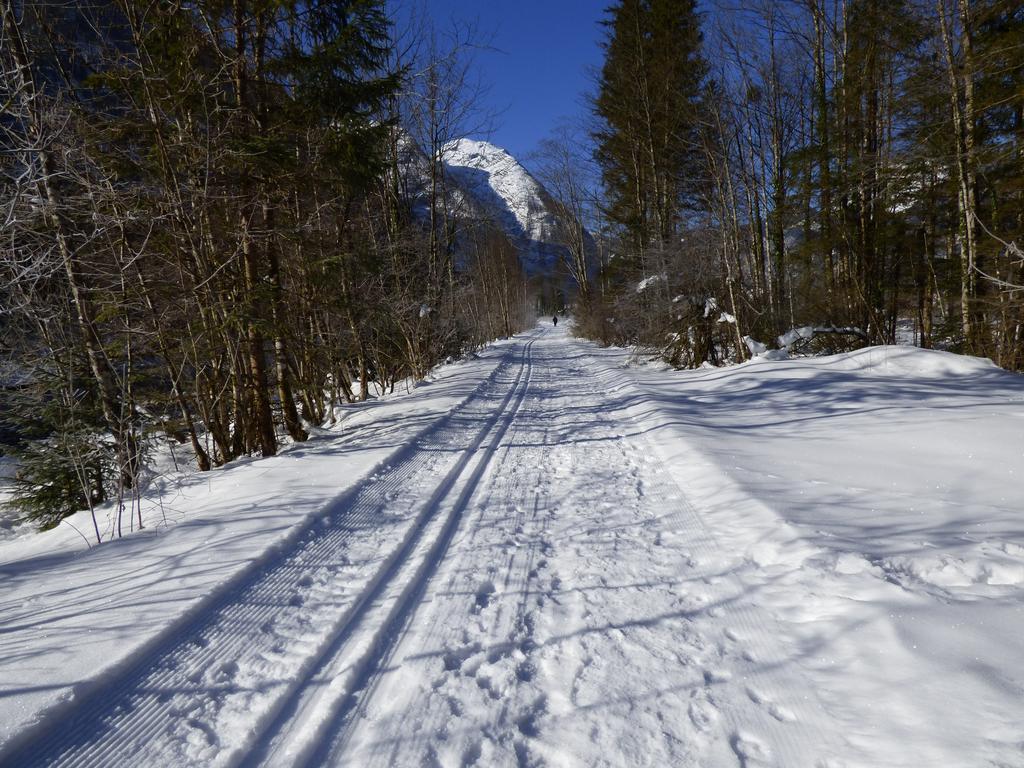 Apartmán Haus Bergblick Obertraun Exteriér fotografie