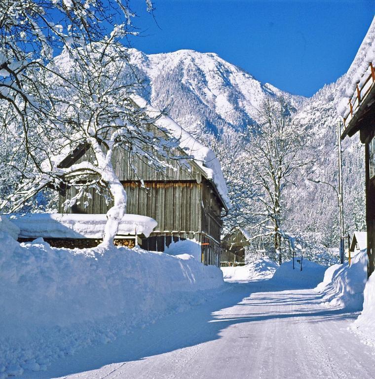 Apartmán Haus Bergblick Obertraun Exteriér fotografie