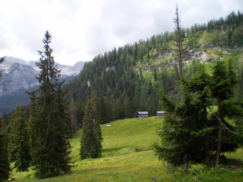 Apartmán Haus Bergblick Obertraun Exteriér fotografie